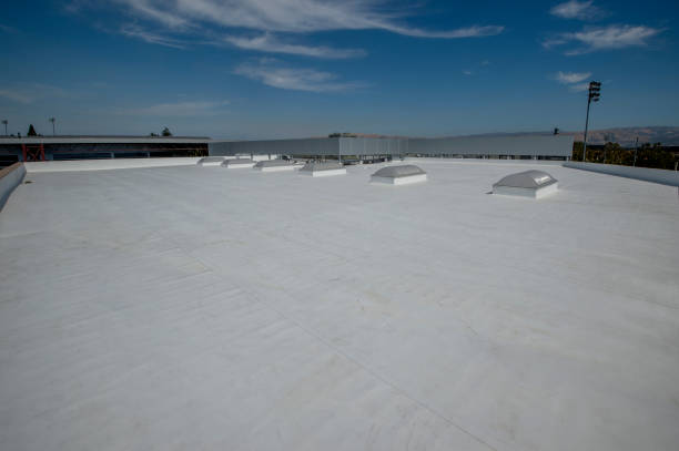 Best Roof Ventilation Installation  in Morris, IL